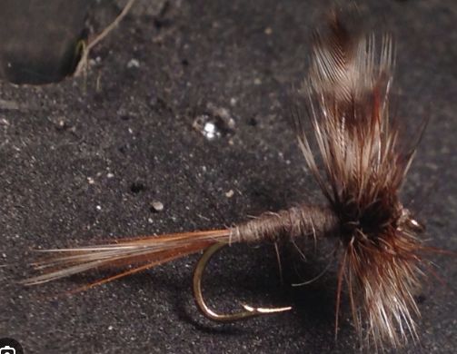 Dry Fly