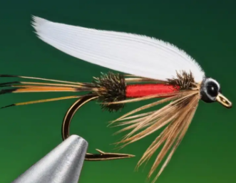 Wet Fly